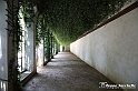 VBS_1504 - Castello di Miradolo - Mostra Oltre il giardino l'Abbecedario di paolo Pejrone